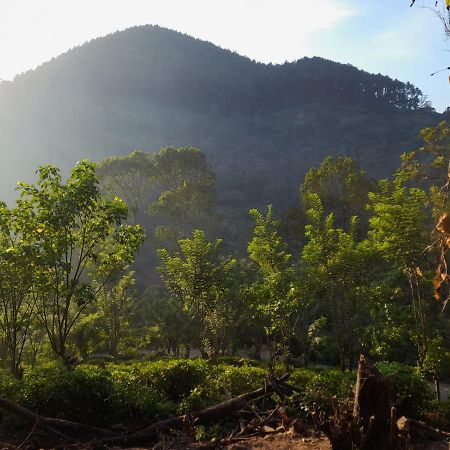 Bed and Breakfast Ceylon Rich Leaves Ella Exterior foto