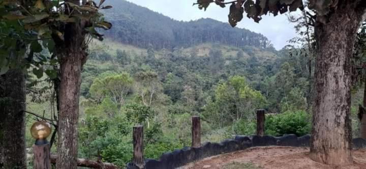 Bed and Breakfast Ceylon Rich Leaves Ella Exterior foto